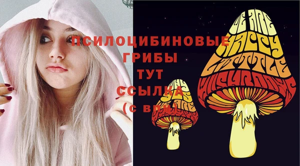 соль курить ск Горно-Алтайск