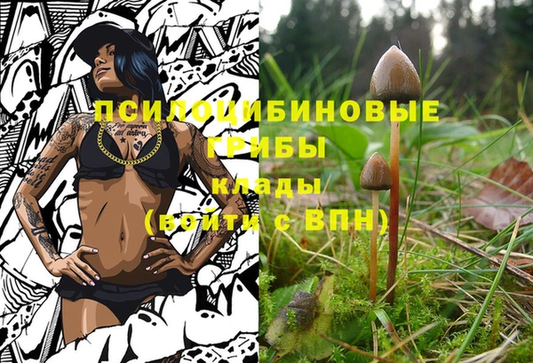 mdma Горнозаводск