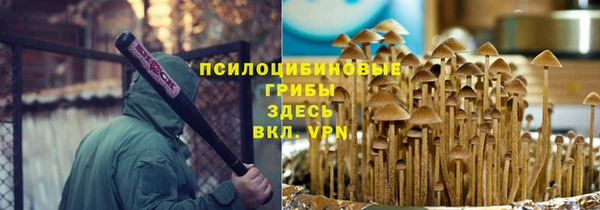соль курить ск Горно-Алтайск
